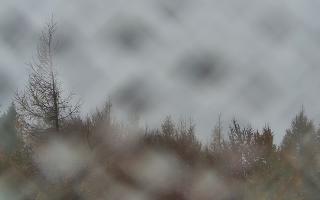 Jaworzyna Krynicka 2 - 29-10-2025 08:33