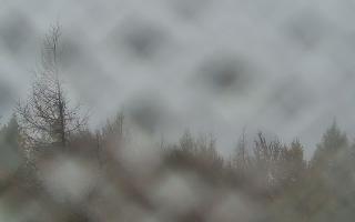 Jaworzyna Krynicka 2 - 29-10-2025 08:41