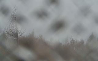 Jaworzyna Krynicka 2 - 29-10-2025 08:49