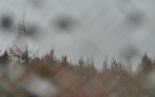 Jaworzyna Krynicka 2 - 29-10-2025 08:56