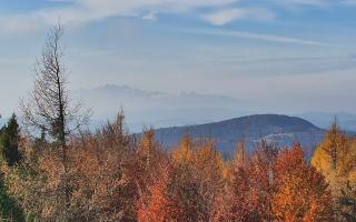 Jaworzyna Krynicka 2 - 02-11-2025 09:53