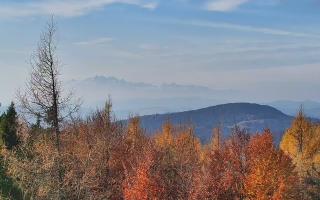 Jaworzyna Krynicka 2 - 02-11-2025 10:01