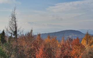 Jaworzyna Krynicka 2 - 02-11-2025 10:31