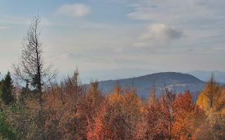 Jaworzyna Krynicka 2 - 02-11-2025 10:39