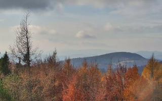 Jaworzyna Krynicka 2 - 02-11-2025 10:47