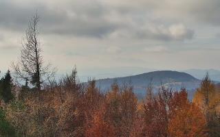 Jaworzyna Krynicka 2 - 02-11-2025 10:54