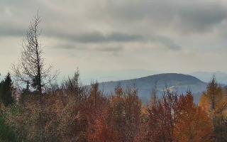 Jaworzyna Krynicka 2 - 02-11-2025 11:02