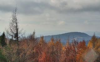 Jaworzyna Krynicka 2 - 02-11-2025 11:09