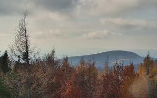 Jaworzyna Krynicka 2 - 02-11-2025 11:17