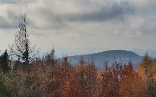 Jaworzyna Krynicka 2 - 02-11-2025 11:25