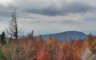 Jaworzyna Krynicka 2 - 02-11-2025 11:32