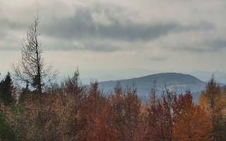 Jaworzyna Krynicka 2 - 02-11-2025 11:40