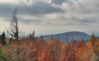 Jaworzyna Krynicka 2 - 02-11-2025 11:47