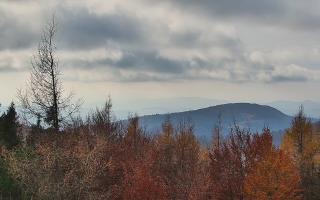 Jaworzyna Krynicka 2 - 02-11-2025 11:55