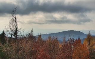 Jaworzyna Krynicka 2 - 02-11-2025 12:10