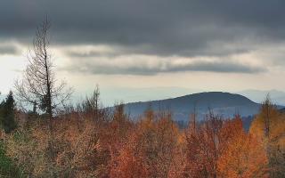 Jaworzyna Krynicka 2 - 02-11-2025 12:18