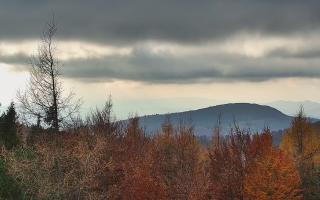 Jaworzyna Krynicka 2 - 02-11-2025 12:25