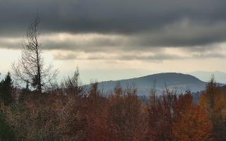 Jaworzyna Krynicka 2 - 02-11-2025 12:48