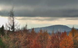 Jaworzyna Krynicka 2 - 02-11-2025 13:03