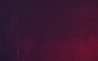 Jaworzyna Krynicka 2 - 03-11-2025 00:34