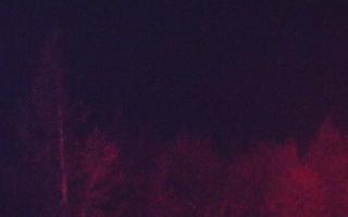 Jaworzyna Krynicka 2 - 03-11-2025 02:21