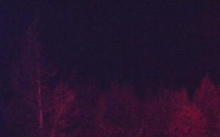 Jaworzyna Krynicka 2 - 03-11-2025 02:51