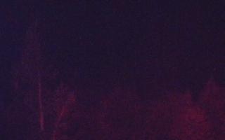 Jaworzyna Krynicka 2 - 03-11-2025 03:14