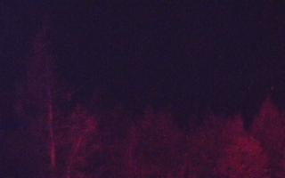 Jaworzyna Krynicka 2 - 03-11-2025 03:21