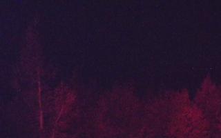 Jaworzyna Krynicka 2 - 03-11-2025 04:07