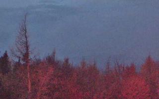 Jaworzyna Krynicka 2 - 03-11-2025 04:53