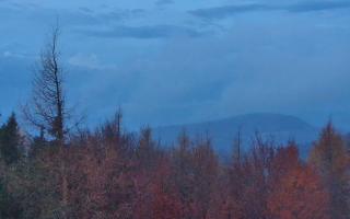 Jaworzyna Krynicka 2 - 03-11-2025 05:00