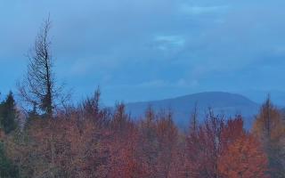 Jaworzyna Krynicka 2 - 03-11-2025 05:15