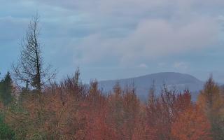 Jaworzyna Krynicka 2 - 03-11-2025 05:23