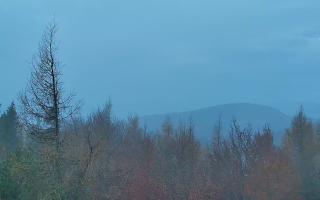 Jaworzyna Krynicka 2 - 03-11-2025 05:38