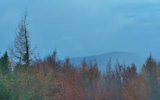 Jaworzyna Krynicka 2 - 03-11-2025 05:46