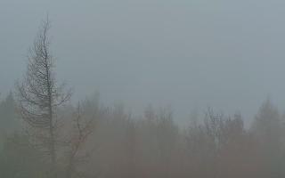 Jaworzyna Krynicka 2 - 03-11-2025 05:53