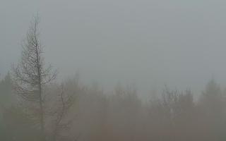 Jaworzyna Krynicka 2 - 03-11-2025 06:01