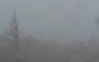 Jaworzyna Krynicka 2 - 03-11-2025 06:09