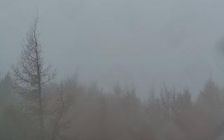 Jaworzyna Krynicka 2 - 03-11-2025 06:16