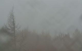 Jaworzyna Krynicka 2 - 03-11-2025 06:24