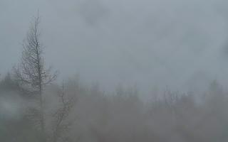 Jaworzyna Krynicka 2 - 03-11-2025 06:31