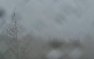 Jaworzyna Krynicka 2 - 03-11-2025 06:39