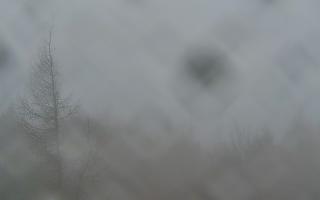 Jaworzyna Krynicka 2 - 03-11-2025 06:54