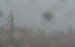 Jaworzyna Krynicka 2 - 03-11-2025 07:02