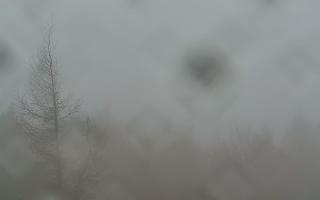 Jaworzyna Krynicka 2 - 03-11-2025 07:09