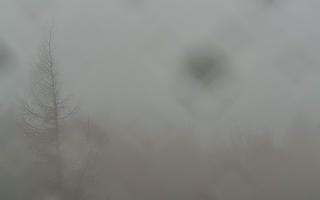 Jaworzyna Krynicka 2 - 03-11-2025 07:17