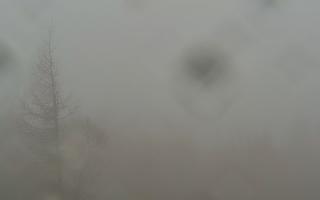 Jaworzyna Krynicka 2 - 03-11-2025 07:24