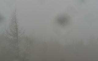 Jaworzyna Krynicka 2 - 03-11-2025 07:32