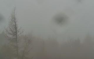 Jaworzyna Krynicka 2 - 03-11-2025 07:40