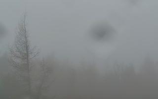 Jaworzyna Krynicka 2 - 03-11-2025 07:47